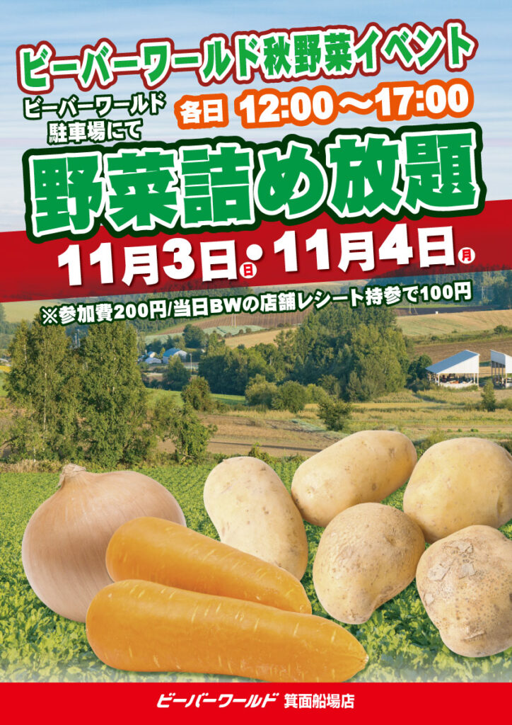 11月3日・4日野菜詰め放題