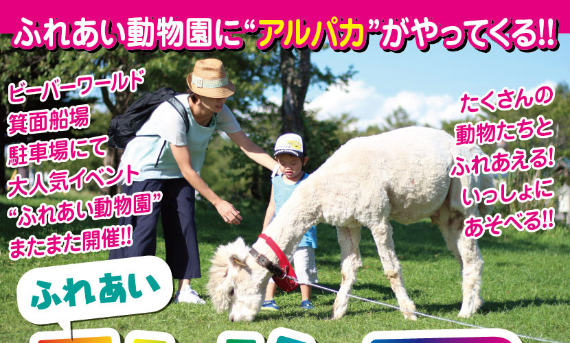 11/20（日）ふれあい動物園開催！ | ビーバーワールド箕面船場